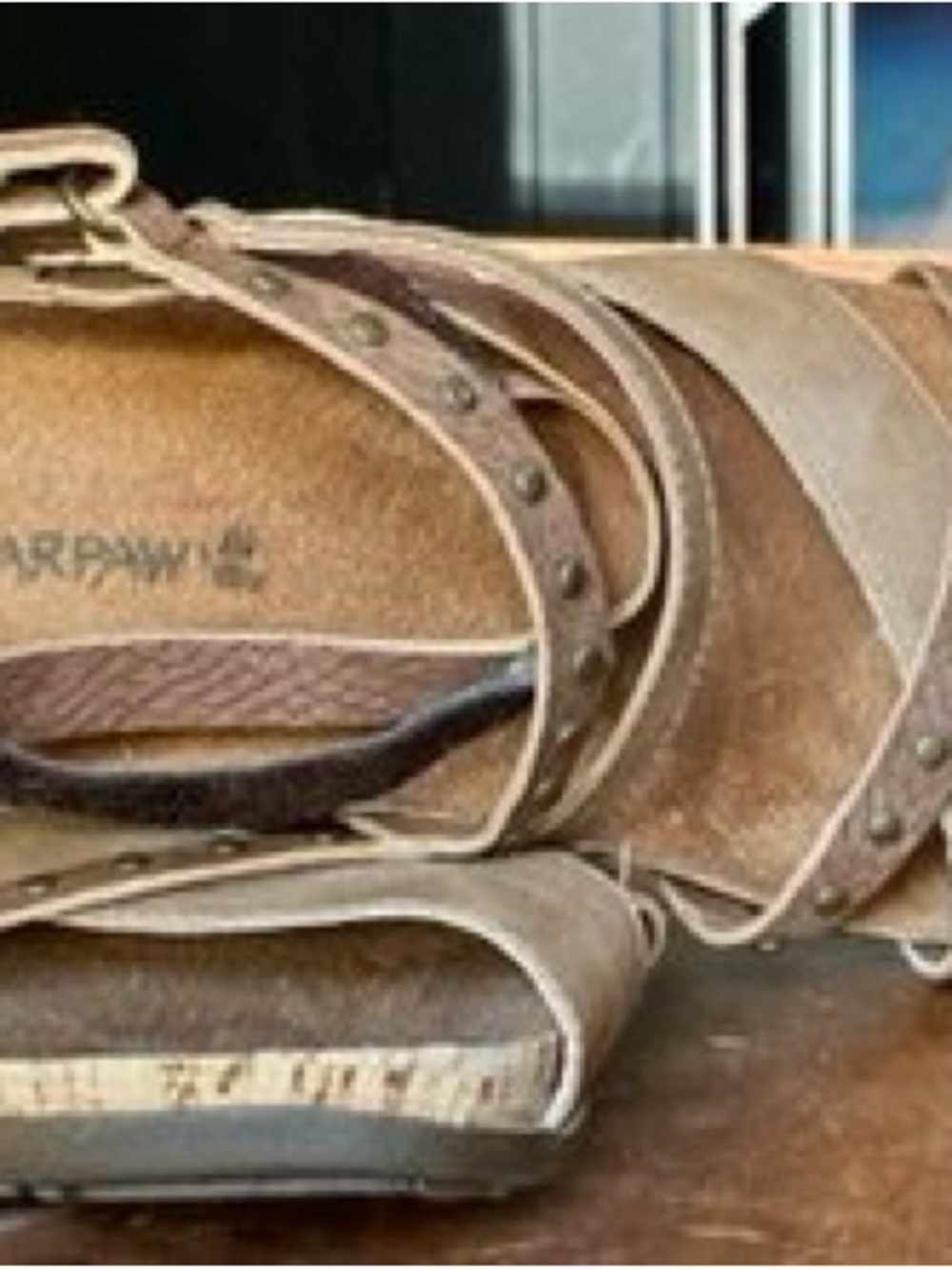 BearPaw Women's Brown Studded Slide Mules